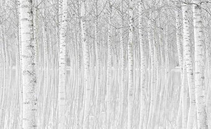 Papier Peint Arbres Noir Et Blanc