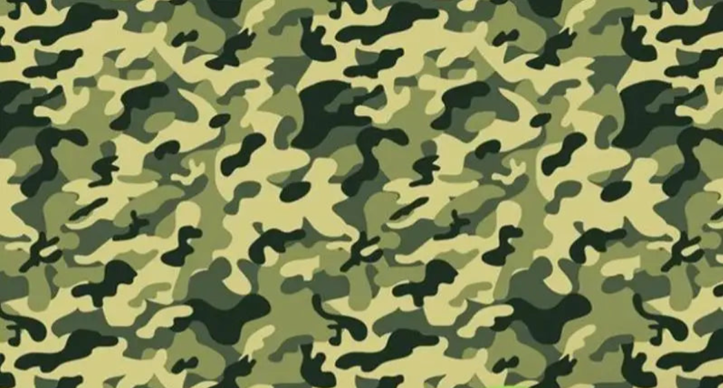 Papier Peint Camouflage Militaire - Second Image