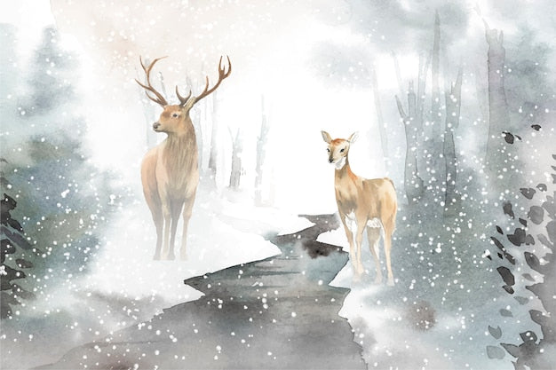 Forest Cart Wallpaper