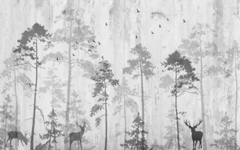 Black and White Nature Wallpaper