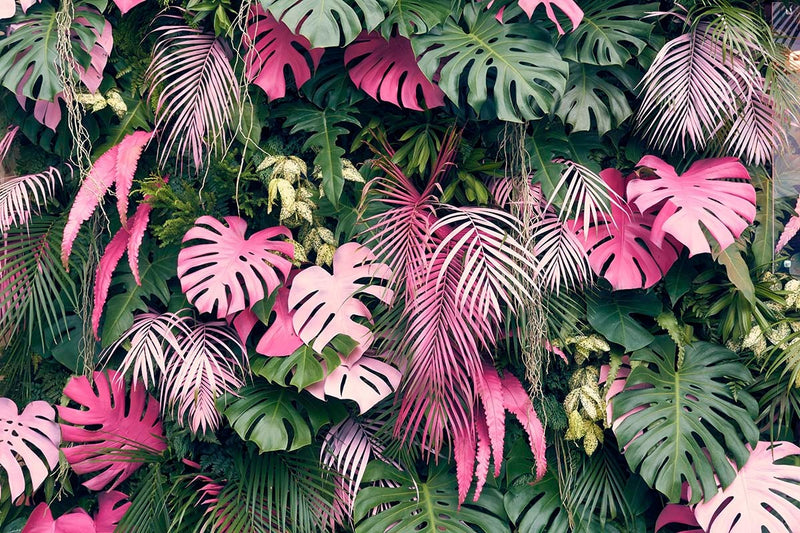 Pink Jungle Wallpaper