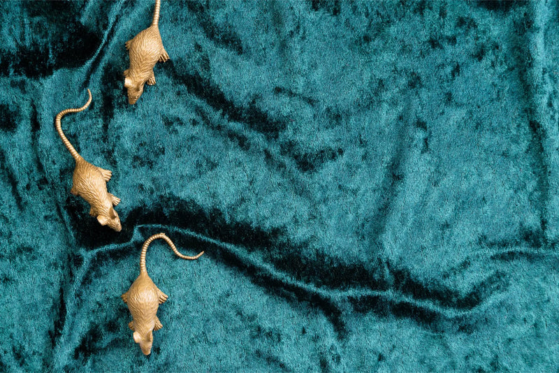 Teal Wallpaper with Golden Mice