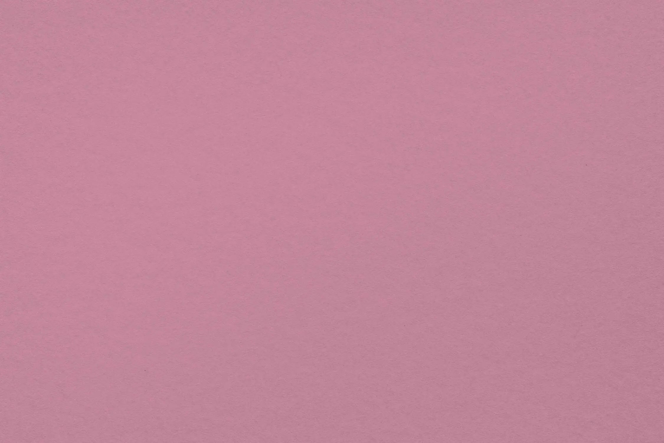 Papier Peint Mauve Pastel Foncé