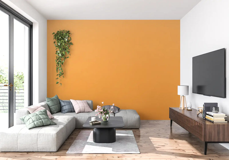 Papier Peint Uni Orange - tendance mur